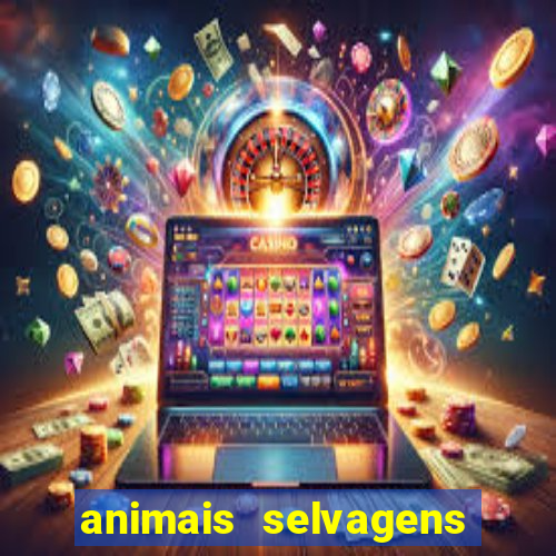 animais selvagens fotos e nomes